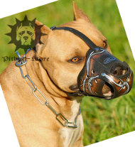 Designer Dog Muzzle with Barbed Wire Ornament for Pitbull