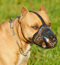 Muzzle for Pitbull