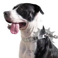 Neck Tech Stainless Steel Dog Pinch Collar for Pitbull, Staffy