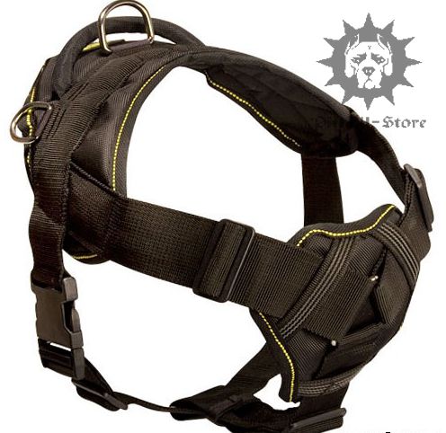 Running-Dog-Harness-for-Pitbull-Training.jpg