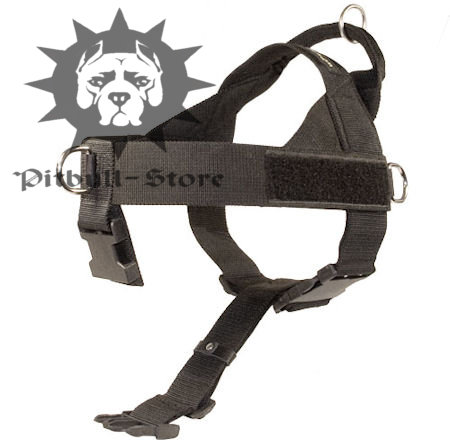 Best Dog Harness with Handle for English Bull Terrier