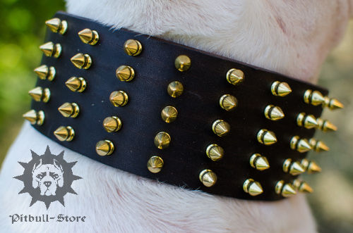 Extra Wide Spiked Dog Collar