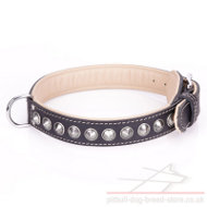 Staffy Studded Dog Collar "Cone" of Nappa Padded Black Leather