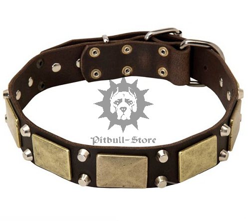 Great Leather Dog Collar