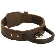 Agitation Dog Collar of Leather for Amstaff & Bull Terrier