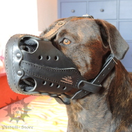 Agitation Muzzle with Big Nose Holes for Alano Espanol Dog