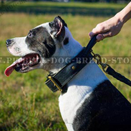Training Dog Collar with Handle