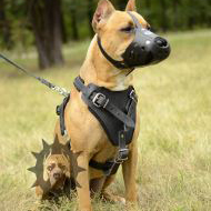 Dog Safety Harness UK