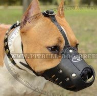 Amstaff Muzzle UK, Leather Padded for Everyday Usage