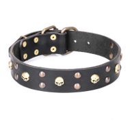 Artisan Dog Collar FDT "Heavy Metal" Leather with Skulls, Studs