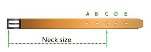 How to Size a Dog Collar