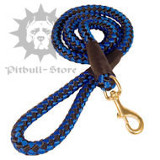 nylon dog lead