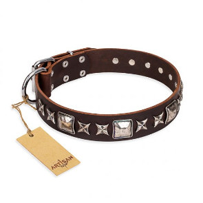 Best Dog Collar for Pitbull