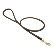 Best Dog Lead of Rolled Leather - 1/4 Inch Wide