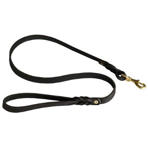 Best Dog Leash for Pitbull