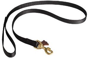 Best Dog Leashes for Pullers