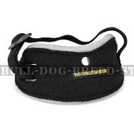 Best Dog Training Pouch Arm Pocket for Attention Development