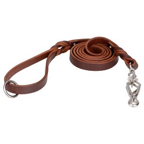Best Leash for Pitbull