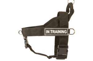 Best No Pull Harness for Pitbulls