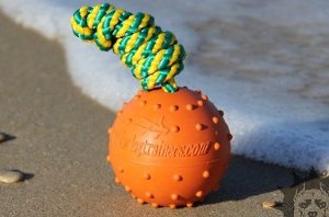 Best Pitbull Dog Toys