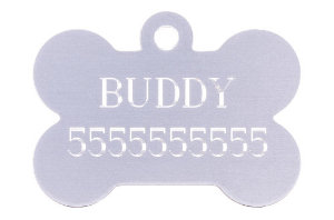 Best Pitbull Gifts