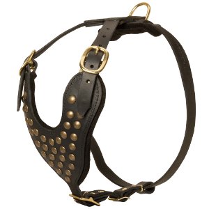 Best Pitbull Walking Harness