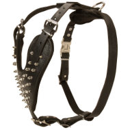 Best Spiked Leather Dog Harness UK for Staffy