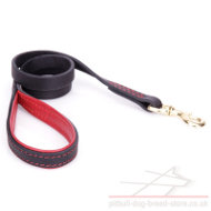 Best Walking Leash for Pitbull, Ultramodern Design "Handicraft"