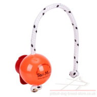 Big Hard Plastic Dog Ball with MAXI Power-Clip by Top-Matic
