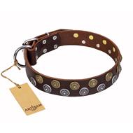"Strong Shields" FDT Artisan Brown Dog Collar with Conshos