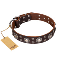 "Age of Beauty" FDT Artisan Brown Leather Dog
Collar