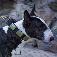 Wide Bull terrier Collar of Style with Brass Plates