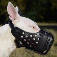 Dondi Plus Leather Dog Muzzle for Bull Terrier