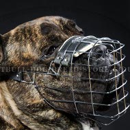 Cane Corso Basket Muzzle of Wire for Walks and Training