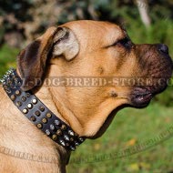 Cane Corso Dog Collar of Leather with Pyramids and Spikes
