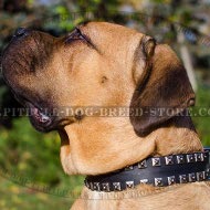 Cane Corso Leather Collar with Caterpillar Nickel Studs