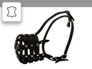 Pitbull Muzzle UK Leather