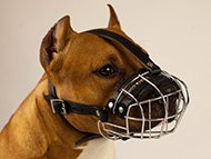 pitbull-uk-staffordshire-bullterrier-muzzles-subcategory-leftside-menu