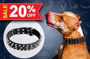 Christmas Dog Collars UK