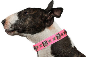 Christmas Dog Collars UK