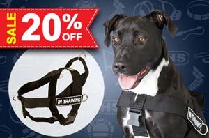 Christmas Harness for Dogs