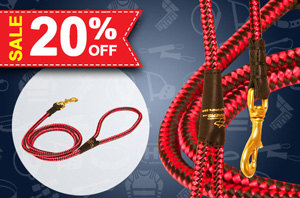 Christmas Leashes Dogs
