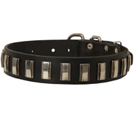 Cool Dog Collar with Rectangular Shiny Plates