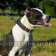 Cool Dog Collar with Pyramids and Cones for
Pitbulls