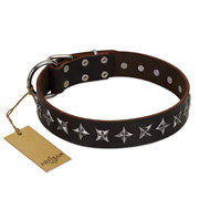 Cool Pitbull Dog Collar "Stars of Glory" FDT Artisan