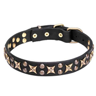 "Myriads of Stars" Unique Dog Collar for Walks in Style