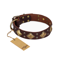 "Golden Square" FDT Artisan Designer Dog Collar with Rhombs