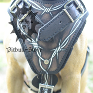 Leather Padded Dog Harness with Barbed Wire Design