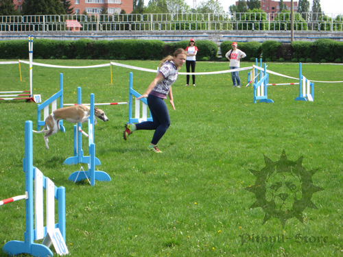 Dog and Owner on a Track