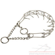 Dog Behaviour Correction and Effective Training Prong Collar